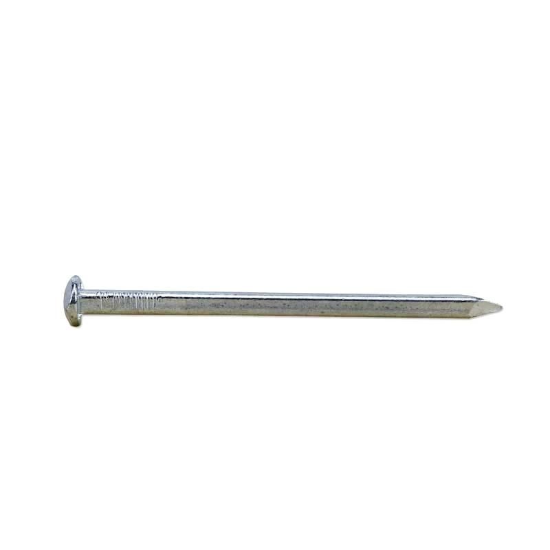 Galvanized Square Boat Nail for Construction