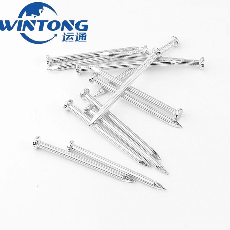 Hot Sale Galvanized Concrete Steel Nail China Factory