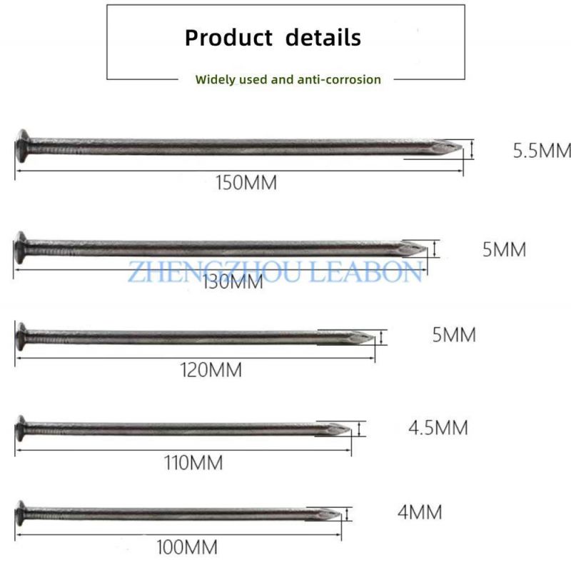 Polished Common Iron Wire Nail for Woodworking and Construction Flat Head Nails for Wood Pallet