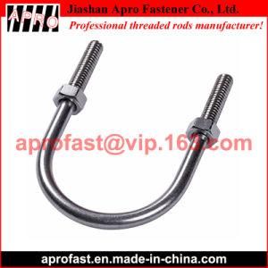 Stainless Steel U Bolt with Nut