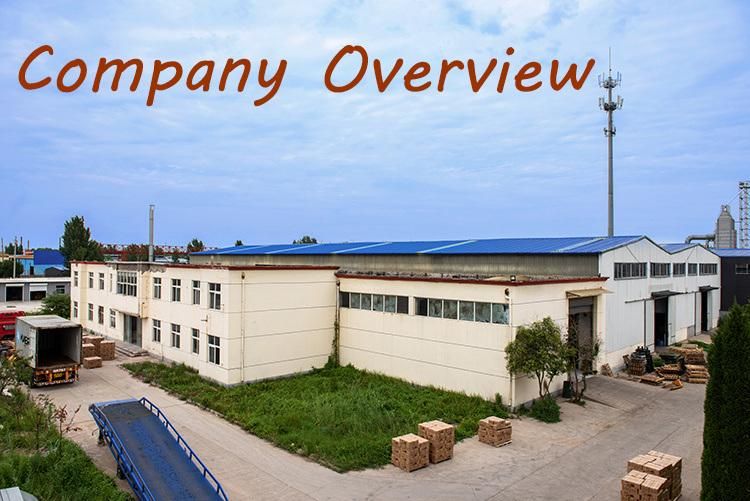 Professional Manufacturer Smooth Red Coated Coil Nail for Pallet