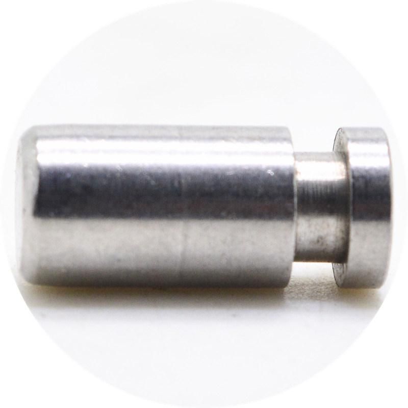 Stainless Steel Automobile Screws