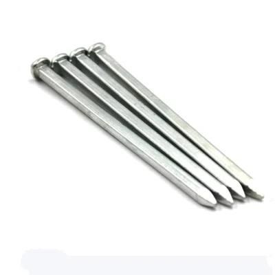 Myanmar Thailand Laos Vietnam Philippines Singapore Marketgalvanized Steel Square Boat Nails for Ship