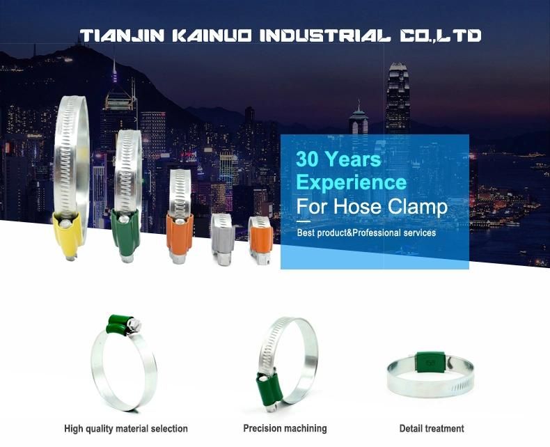 W4 304ss Stainless Steel Adjustable Worm Gear British Type Hose Clip with Tube Housing, 9.7mm Bandwidth, 38-50mm