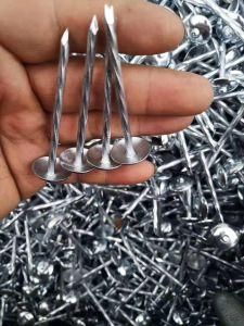 Zinc Coated Umbrella Head Roofing Nail for Africa Market