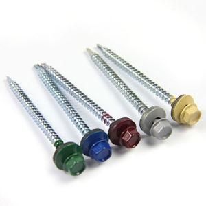 Wholesale Stainless Steel Screw/Galvanized Phillips Head Screws/Hex Head Self Drilling Screw