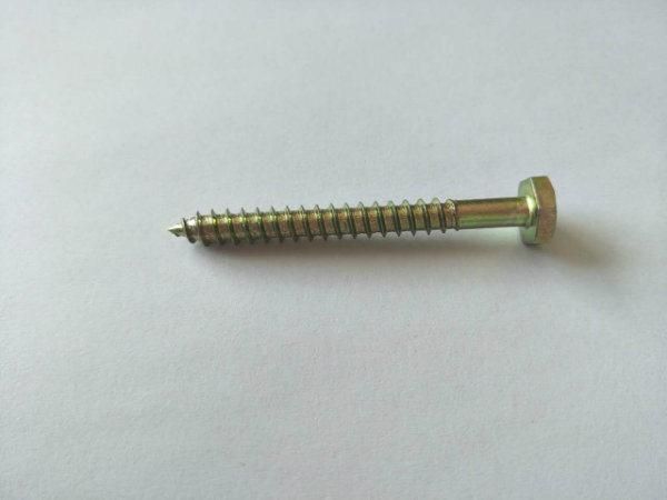 DIN/ANSI/BS/JIS Carbon-Steel/Stainless-Steel 4.8/8.8/10.9 Galvanized Shrinking Screw for Builing Bridge