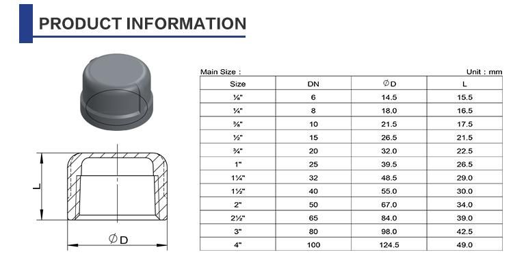 Stainless Steel Connector Female Round Cap Pipe Fitting