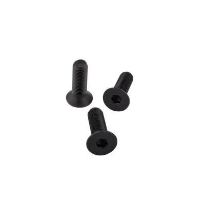 Hex Socket Flat Head Cap Screw with Black