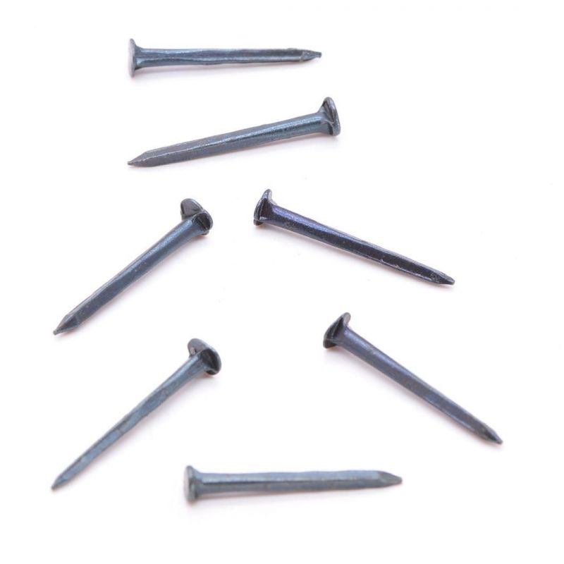Fine Blue Shoe Tacks Nails Horse Tack Nails Iron Smooth ISO