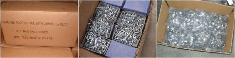 Galvanized Umbrella Head Roofing Nails