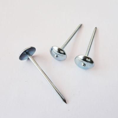 Electro Galvanized Big Flat Head Clout Roofing Nails