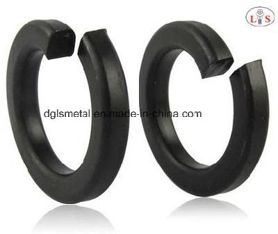 Gasket Spring Washer with High Quality