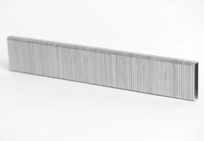 22gauge 1/5&rdquor; Norrow Crown Air Staple Pneumatic Staple 422j