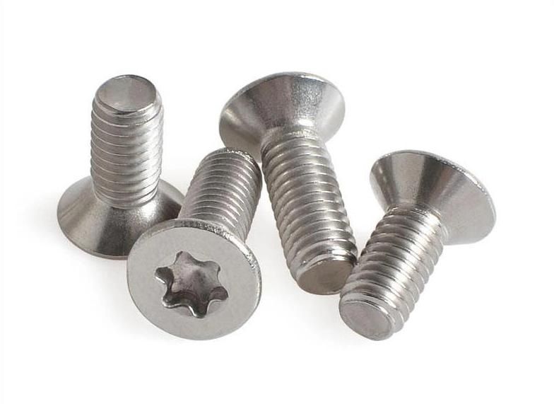 Stainless Steel 316 Torx Drive Flat Head Machine Screw