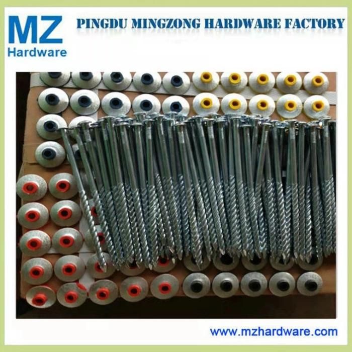 Umberlla Head Roofing Screw Spiral Thread Assembled Nails