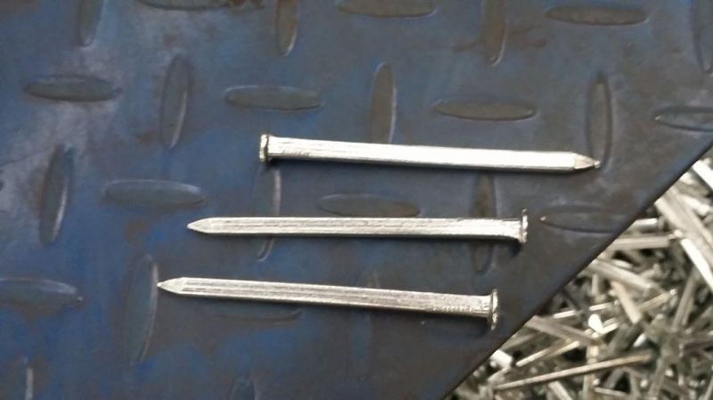 Vietnam Philippines Singapore Market/Boat (ELLIPTICAL) Nails/Galvanized Square Boat Nails/3inch Boat Nails