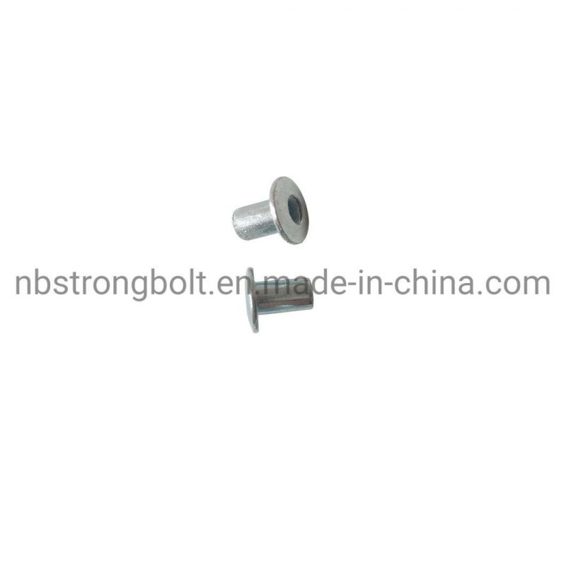 Rivet Nut with Zinc