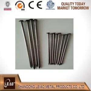 Common Wire Nail Q195 Factory Price
