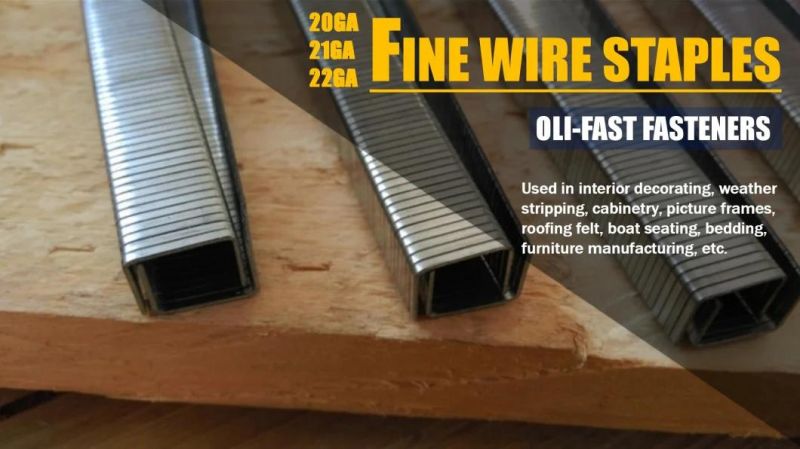 21 Gauge 8010 Industrial Staples 1/2" Crown Fine Wire Furniture Staples