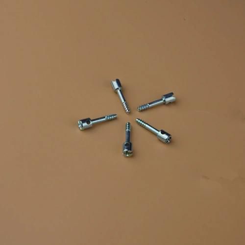 Terminal Cover Screw/Sealing Screw/Machine Screw/Meters Screw