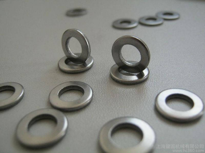 Carbon Steel Stainless Steel DIN125 DIN127 Zp HDG, Gi Spring Washer/Square Washer/Flat Washer