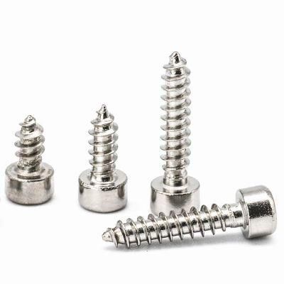 Stainless Steel Allen Hex Socket Cap Head Self Tapping Wood Screws