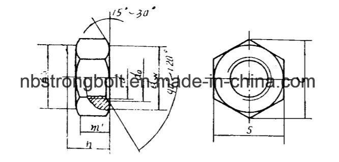 Nylon Lock Nut