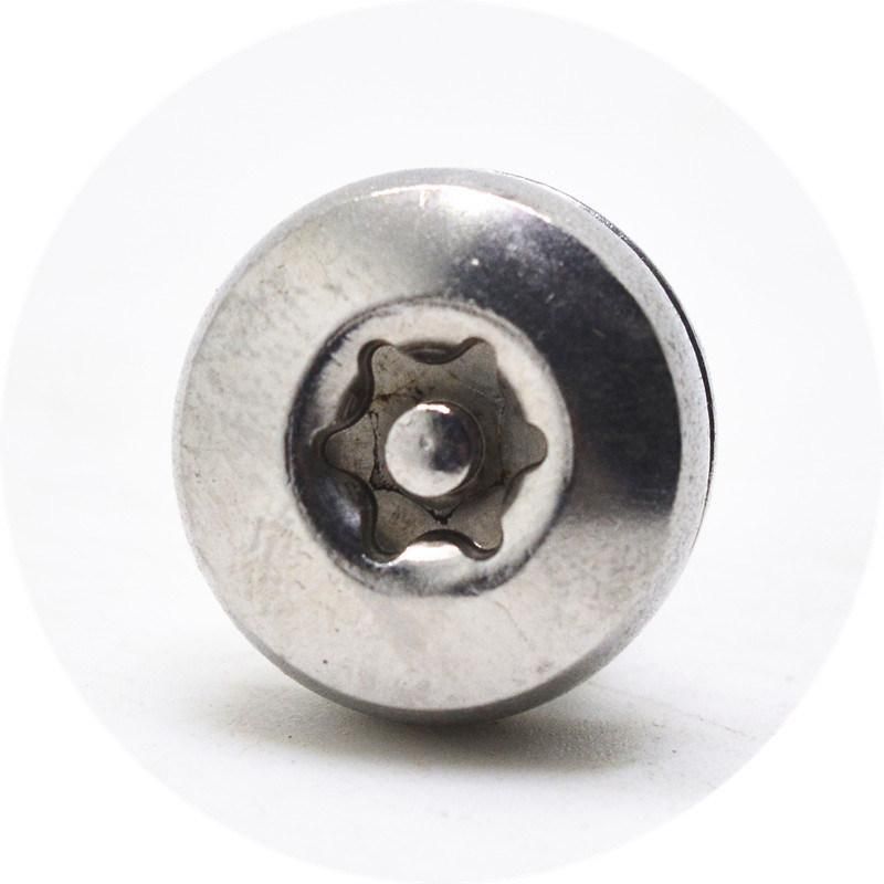 Pan Head Torx Stainless Steel Anti-Theft Screw
