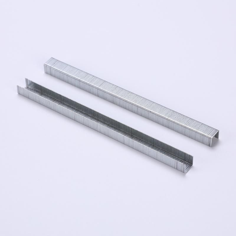 Manufacture 7112 Galvanize Staples for Wood and Safa