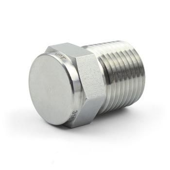 Stainless Steel Pipe Fittings NPT Bsp ISO Pipe Plug