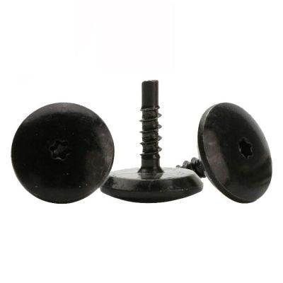 Special Black Oxide Self Tapping T6 Torx Socket Head Screw