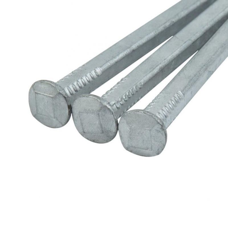 3" 25kg Box Galvanizedcommon Nails/ Square Boat Nails