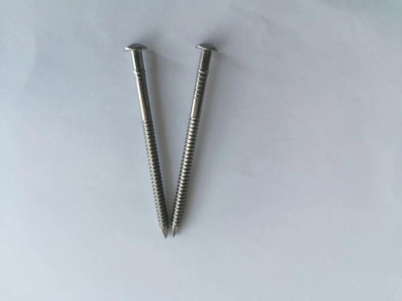 Stainless Steel Rose Head Ring Shank Nail