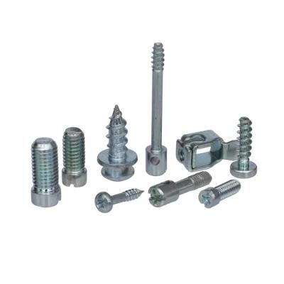 Stock Pan Head, Flat Head, Truss Head, Hexagon Washer Head, Hexagon Flange Head Material Ss410 and SS304 Self-Drilling Screw