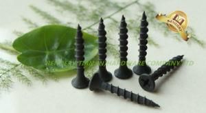 Screw /China Gypsum Drywall Screw (6X50)