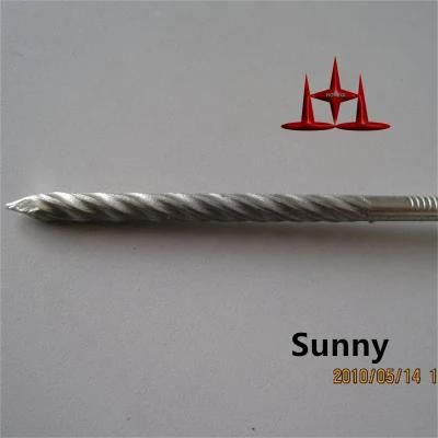 Galvanized Assembled Roofing Screw Nails with Washer