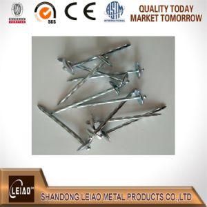 Galvanized Roofing Nails Factory in China