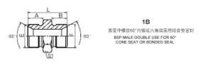 BSP Thread Fitting (1B)