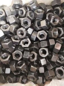 Hex Nuts