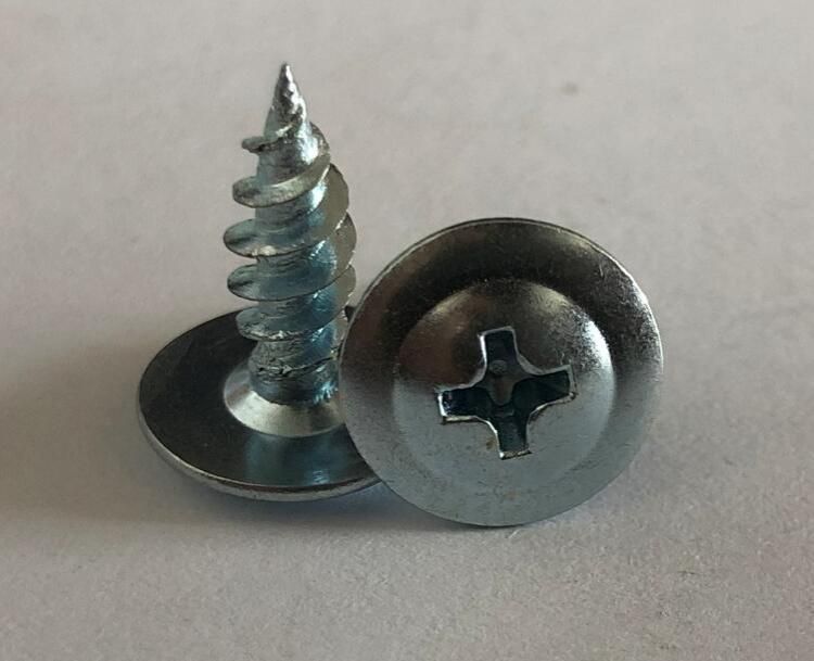 Phillip Recess Truss Head Self Tapping Screw