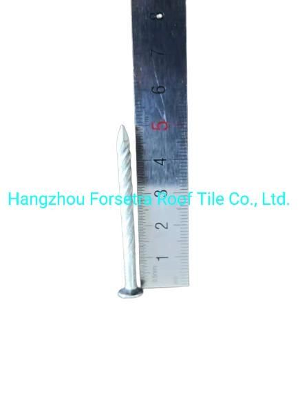 Steel Nails Roofing Accessories Roofing Nails