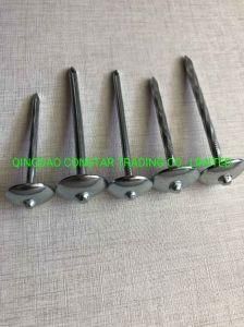 Hot-Dipped Galvanized Smooth and Twist Shank Roofing Nails for Roofing Materials