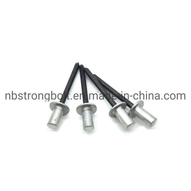 Enclosed Type Aluminum/ Steel Counter Sunk Head Blind Rivet