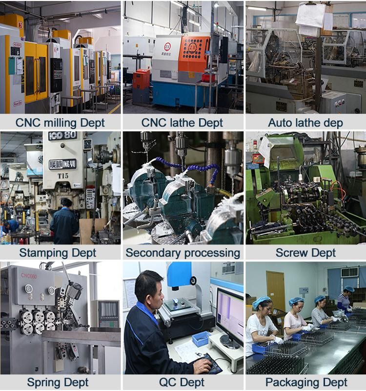 OEM Service Customized Stainless Steel Non-Standard Special Nuts