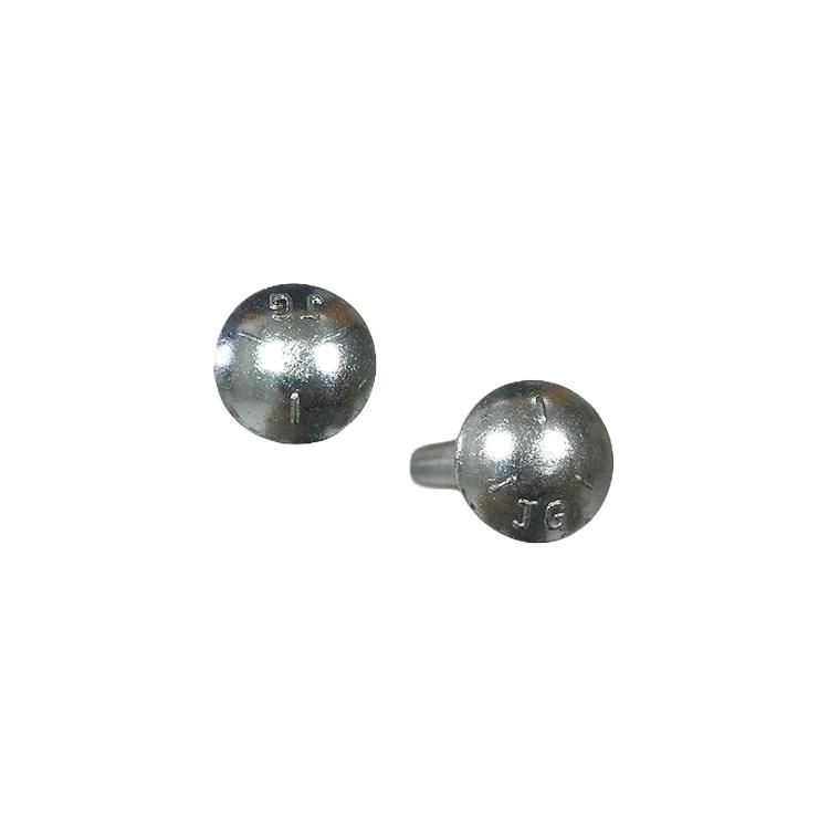 Round Head Carriage Bolt Stainless Steel 304 316