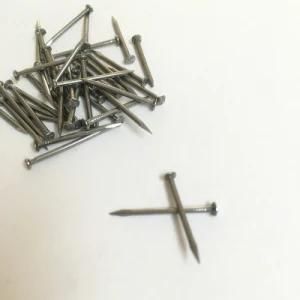 19*1.1 Shoes Nail Common Round Head Small Nail