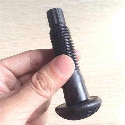 ASTM A325tc A490tc Tension Control Bolt