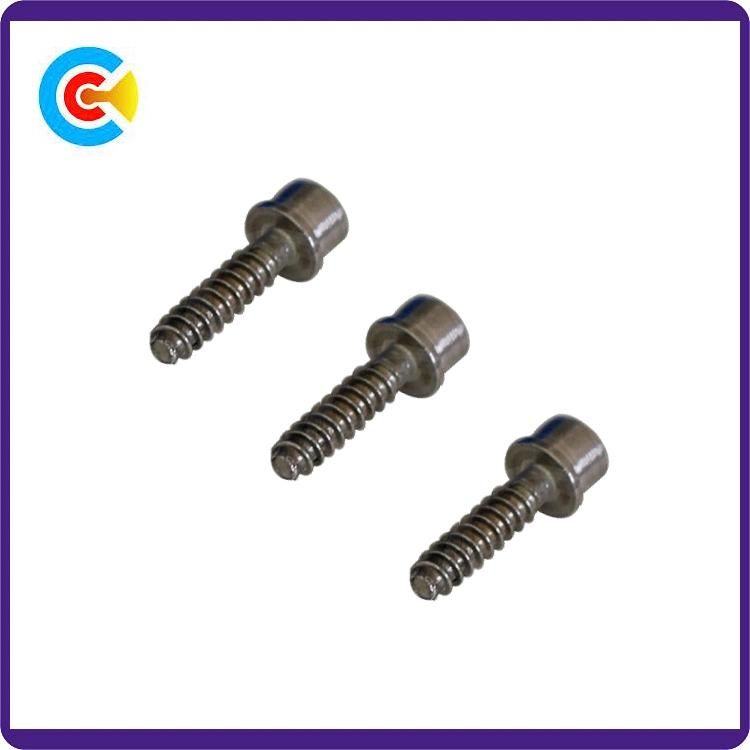 DIN/ANSI/BS/JIS Carbon-Steel/Stainless-Steel Hexagon Socket Cap Head Self Tapping Screws