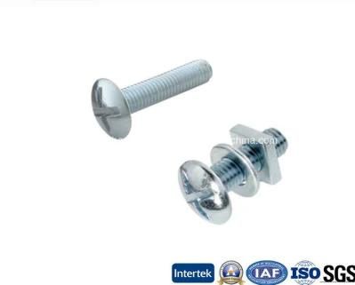 Gr4.8 Zinc Plated Roofing Bolt with Square Nut and Washer